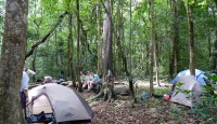 Jungle Spondee - 2D1N Camping Jungle Spondee - 2D1N Camping