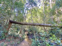 Jungle Lee - 1 Hard Day Jungle Lee - 1 Hard Day